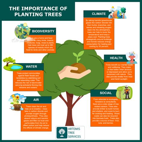 some of the advantages of planting trees in cities are that they|6 Ways Trees Benefit People .